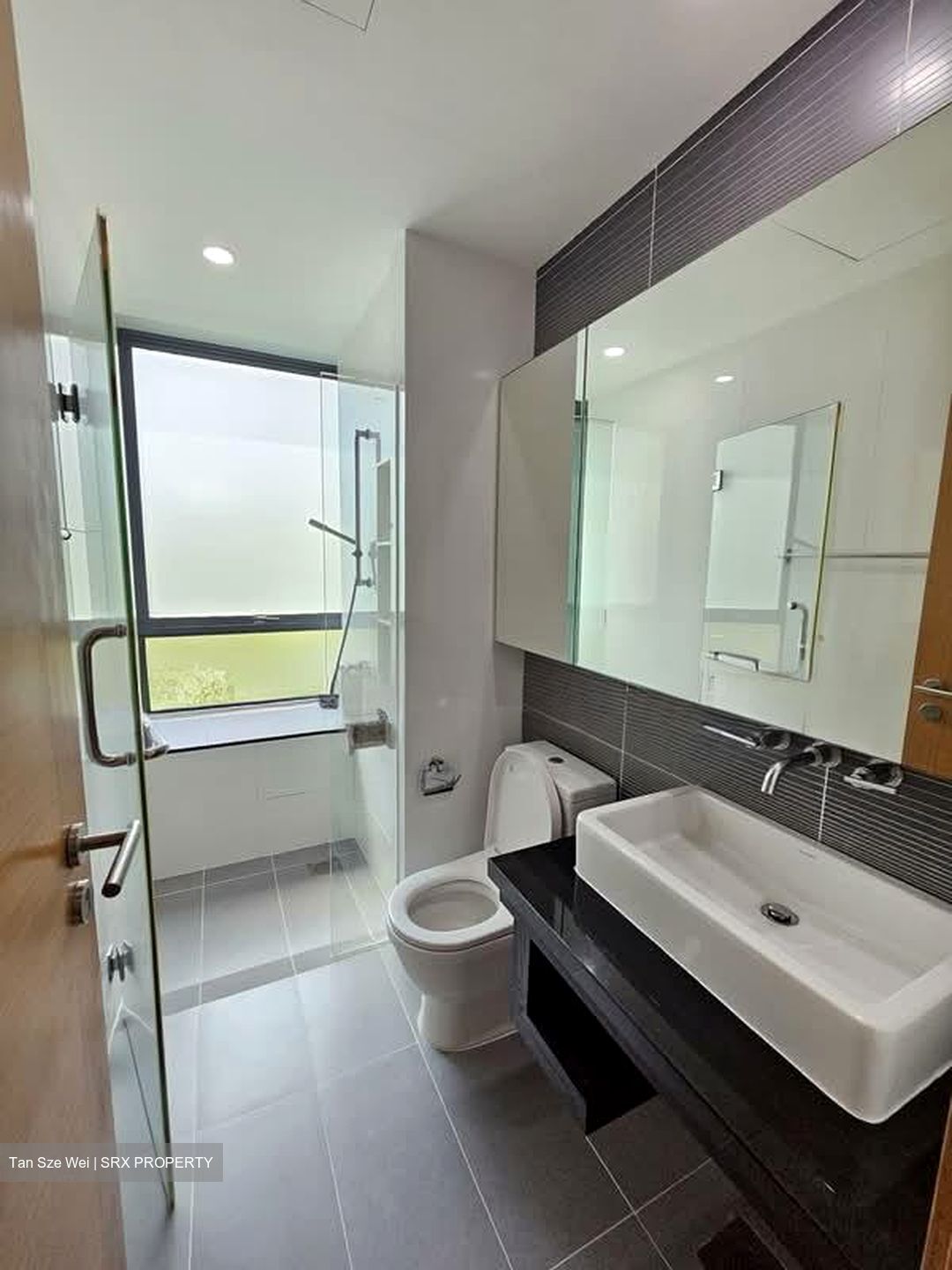 Vertis (D15), Apartment #592449201